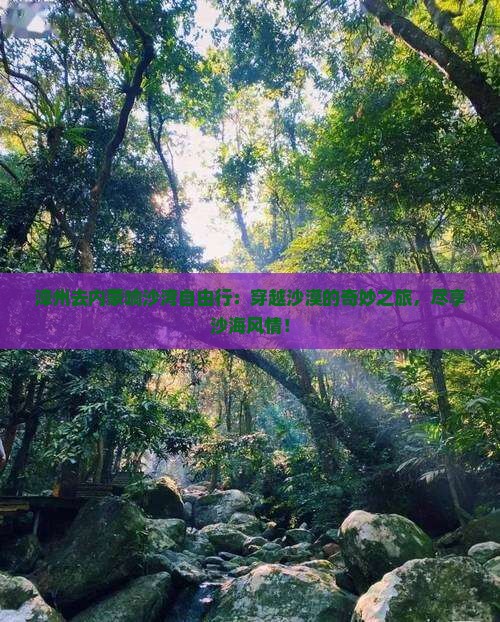 漳州去内蒙响沙湾自由行
