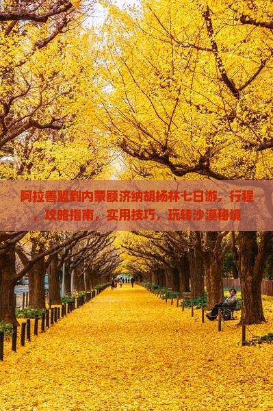 阿拉善盟到内蒙额济纳胡杨林七日游