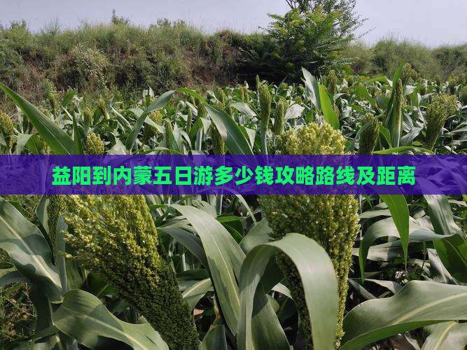 益阳到内蒙五日游