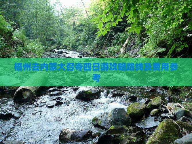 梧州去内蒙大召寺四日游