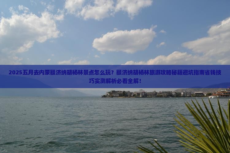五月去内蒙额济纳胡杨林景点