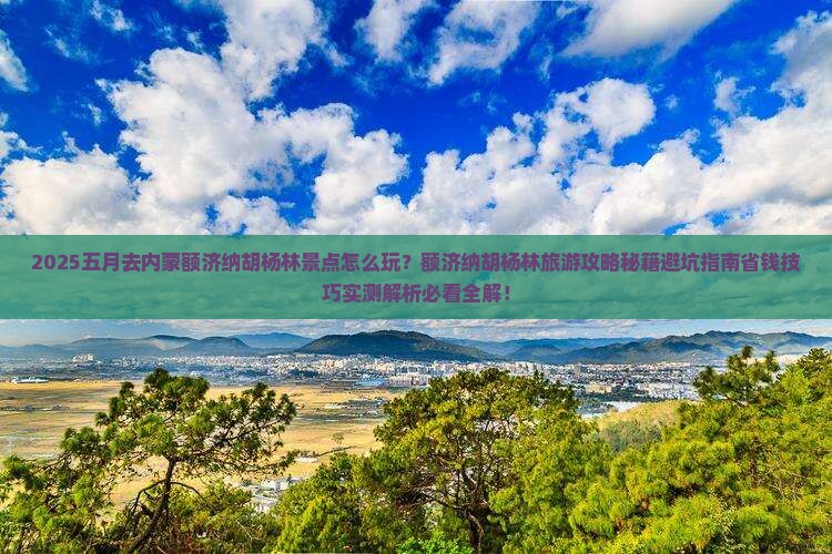 五月去内蒙额济纳胡杨林景点