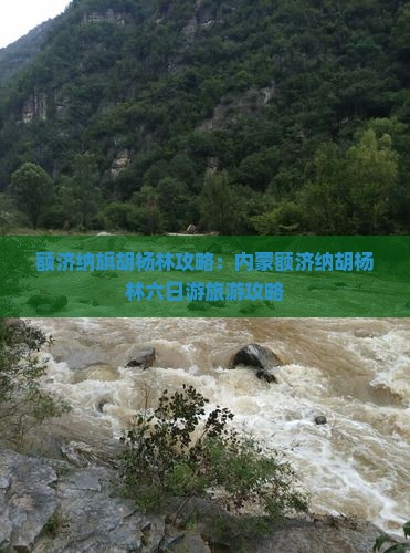 吐鲁番去内蒙额济纳胡杨林六日游