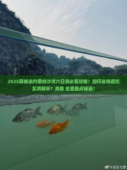 聊城去内蒙响沙湾六日游