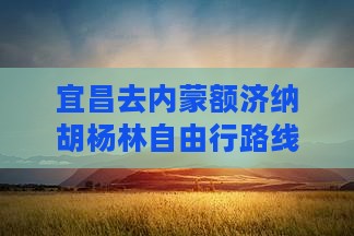 宜昌去内蒙额济纳胡杨林自由行