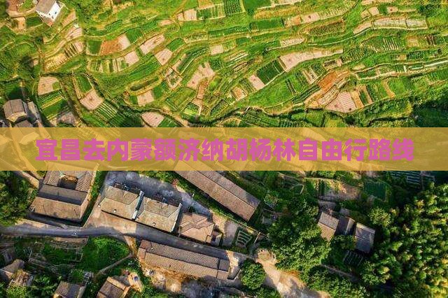 宜昌去内蒙额济纳胡杨林自由行