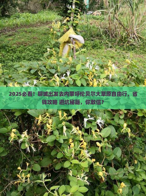 聊城去内蒙呼伦贝尔大草原自由行