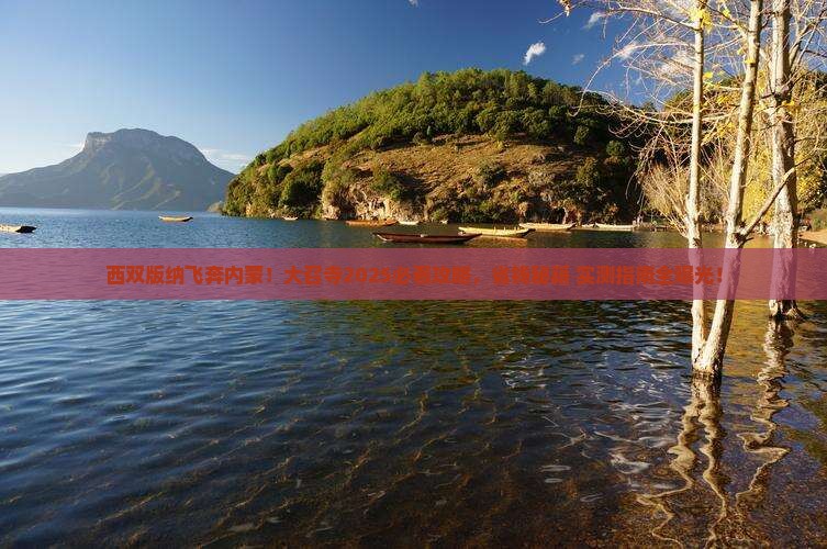 西双版纳去内蒙大召寺攻略 西双版纳去内蒙大召寺攻略