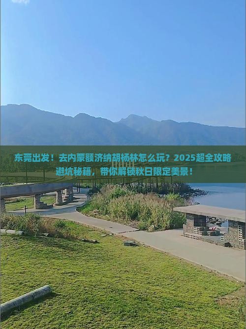 东莞到内蒙额济纳胡杨林大型旅游团