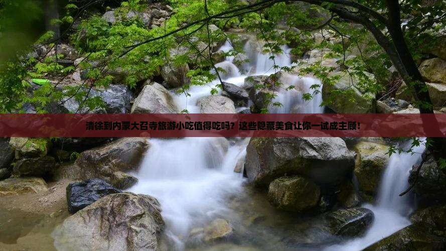 清徐到内蒙大召寺旅游小吃