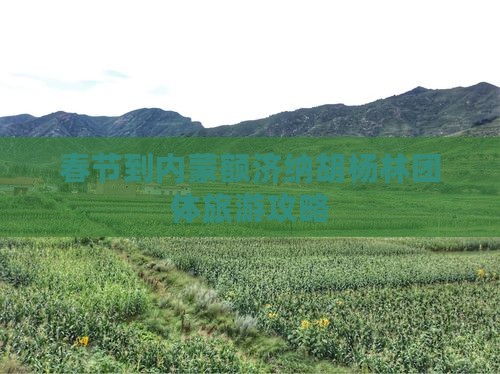 春节到内蒙额济纳胡杨林团体旅游