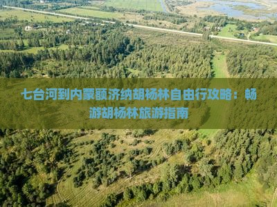 七台河到内蒙额济纳胡杨林自由行