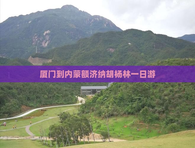 厦门到内蒙额济纳胡杨林一日游