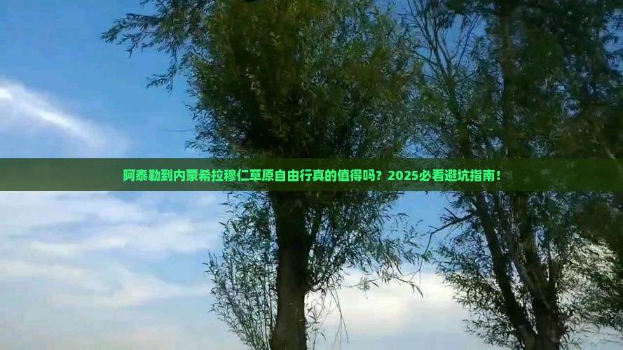 阿泰勒到内蒙希拉穆仁草原自由行