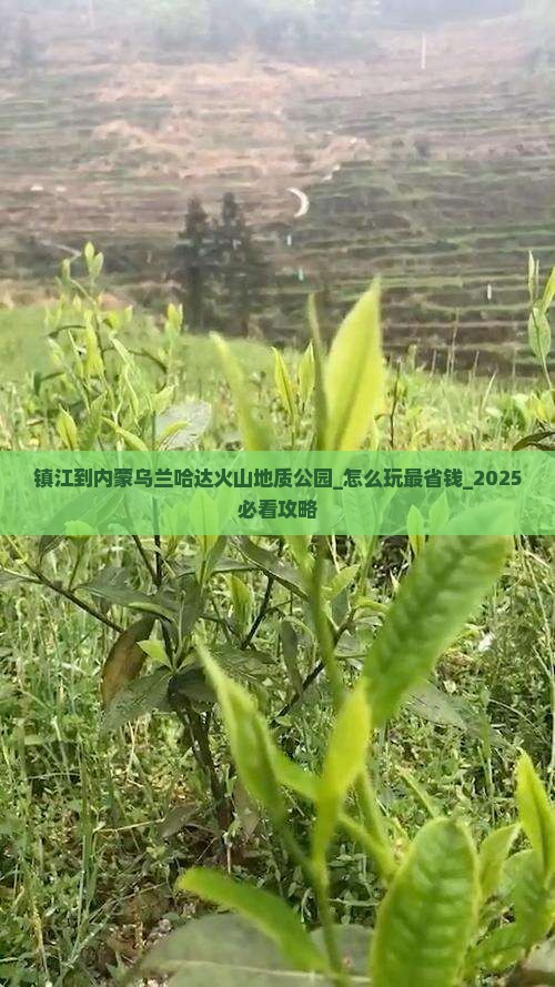 镇江到内蒙乌兰哈达火山地质公园团体旅游
