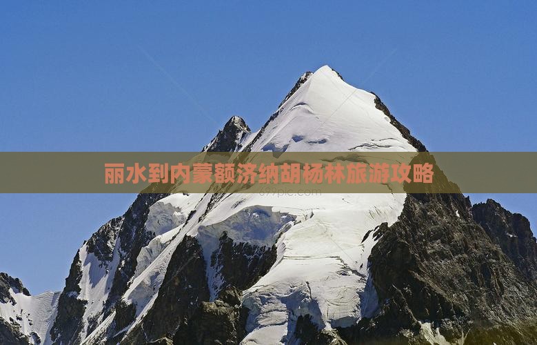 丽水到内蒙额济纳胡杨林哪里玩