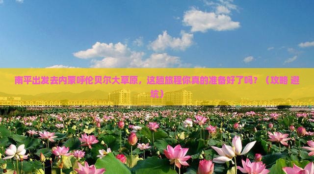 南平去内蒙呼伦贝尔大草原景点