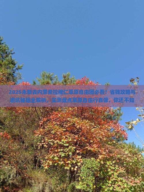 永新去内蒙希拉穆仁草原自由团