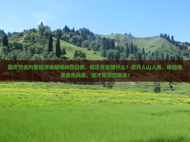 国庆节到内蒙额济纳胡杨林四日游