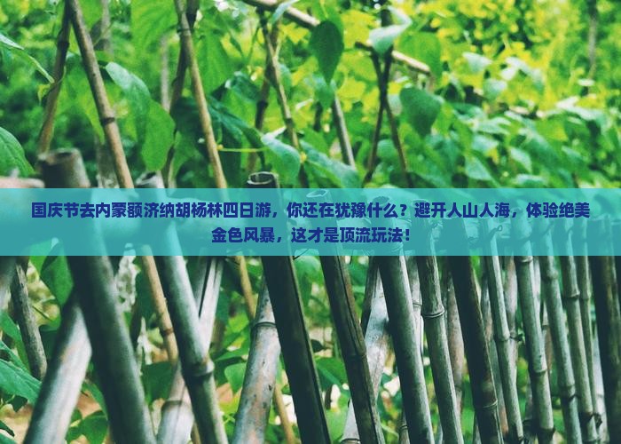 国庆节到内蒙额济纳胡杨林四日游