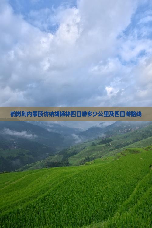 鹤岗到内蒙额济纳胡杨林四日游