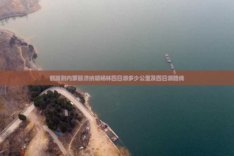 鹤岗到内蒙额济纳胡杨林四日游