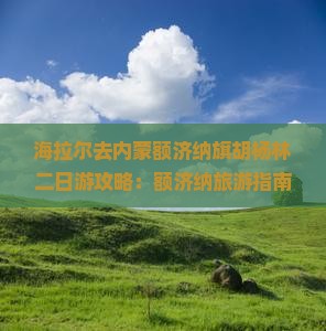 海拉尔去内蒙额济纳胡杨林二日游