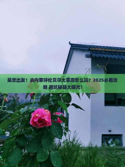 吴忠去内蒙呼伦贝尔大草原大型旅游团