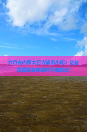 六月去内蒙大召寺旅游小吃
