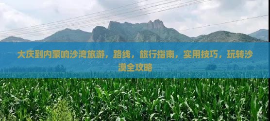 大庆到内蒙响沙湾旅游