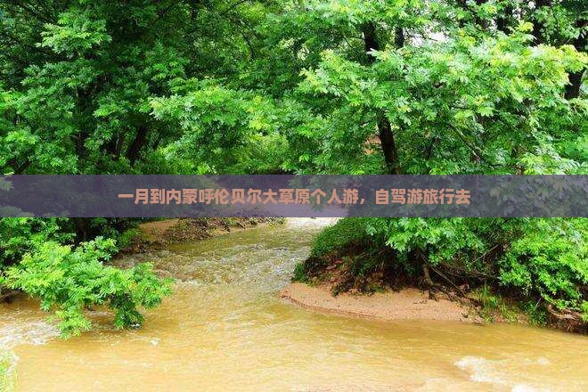 一月到内蒙呼伦贝尔大草原个人游