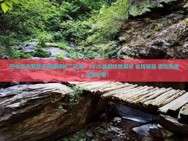 巴中去内蒙额济纳胡杨林二日游