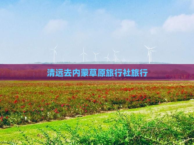 清远去内蒙旅行社