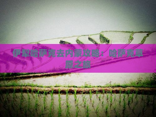 伊犁哈萨克去内蒙攻略