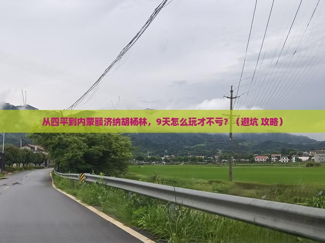 四平到内蒙额济纳胡杨林旅游