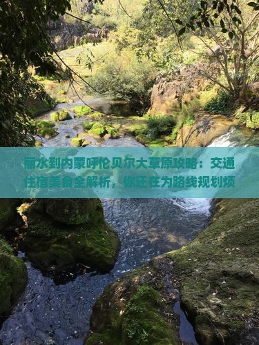 丽水到内蒙呼伦贝尔大草原攻略