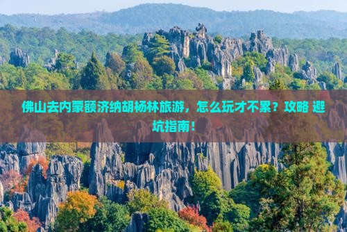 佛山去内蒙额济纳胡杨林旅游