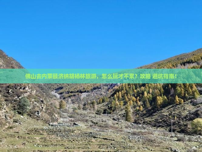 佛山去内蒙额济纳胡杨林旅游