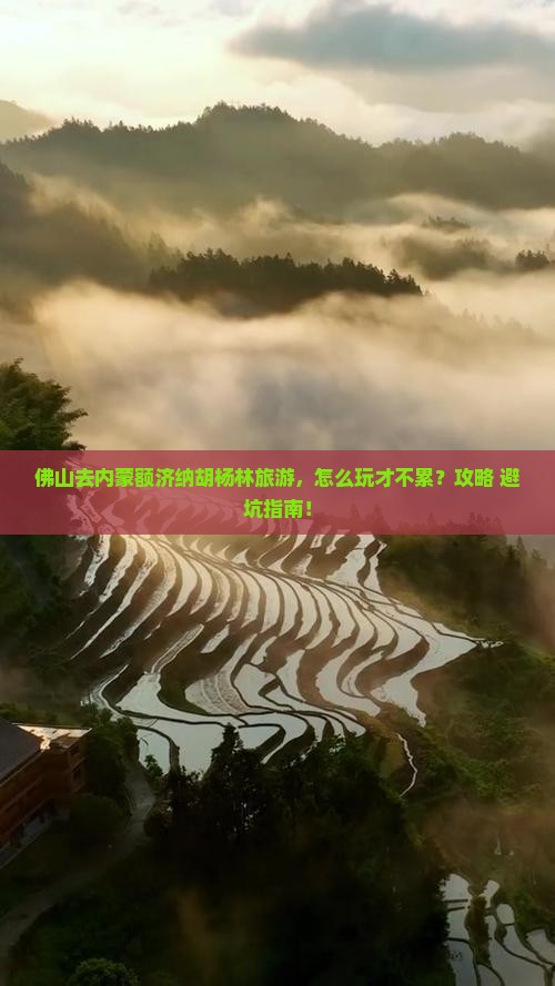 佛山去内蒙额济纳胡杨林旅游