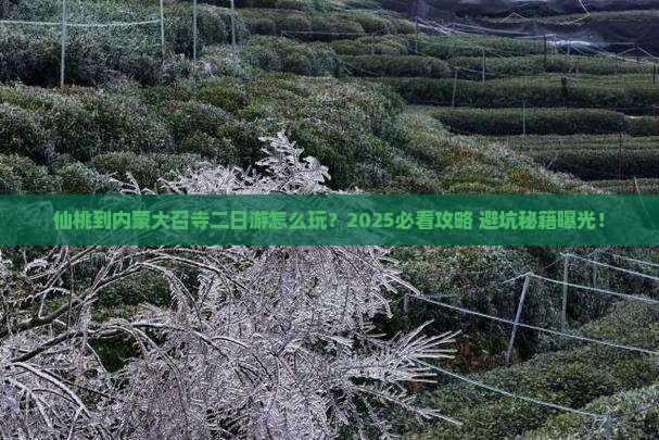 仙桃到内蒙大召寺二日游