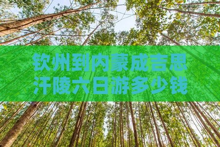 钦州到内蒙成吉思汗陵六日游