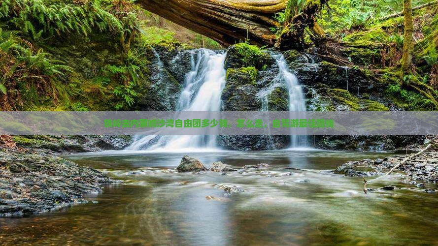 铁岭去内蒙响沙湾自由团