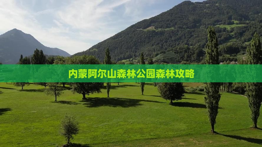 定西到内蒙阿尔山国家森林公园攻略