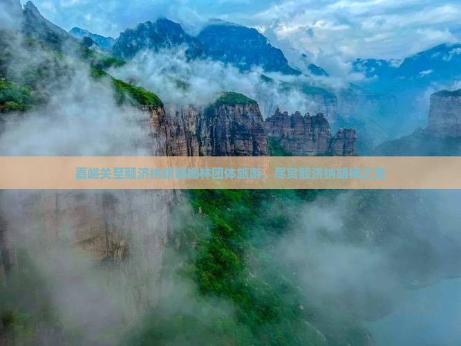 嘉峪关到内蒙额济纳胡杨林团体旅游