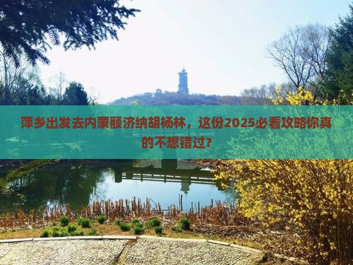 萍乡去内蒙额济纳胡杨林必去地