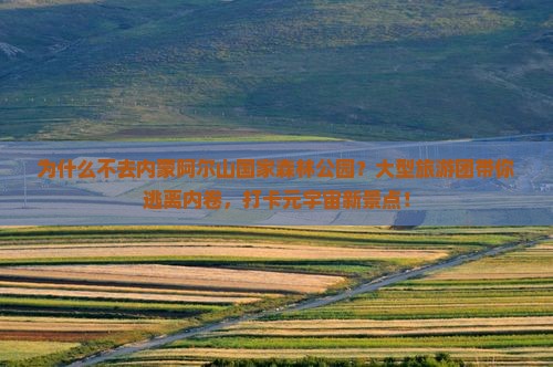 一月到内蒙阿尔山国家森林公园大型旅游团