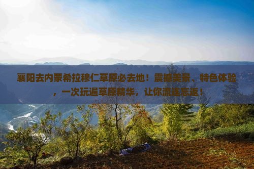 襄阳去内蒙希拉穆仁草原必去地