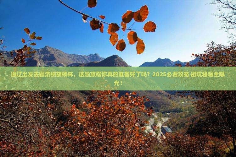 通辽市到内蒙额济纳胡杨林旅游