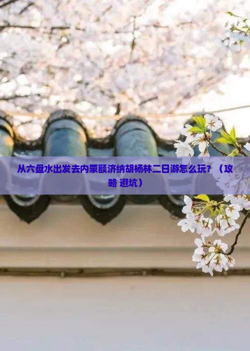 六盘水到内蒙额济纳胡杨林二日游