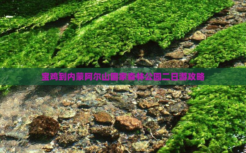 宝鸡到内蒙阿尔山国家森林公园二日游